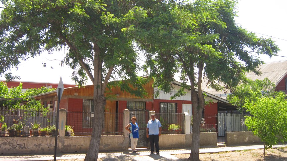 La falsa acacia fue el árbol seleccionado para el análisis en Santiago de Chile. Foto: cortesía Astrid Reischl. Árboles en Santiago de chile