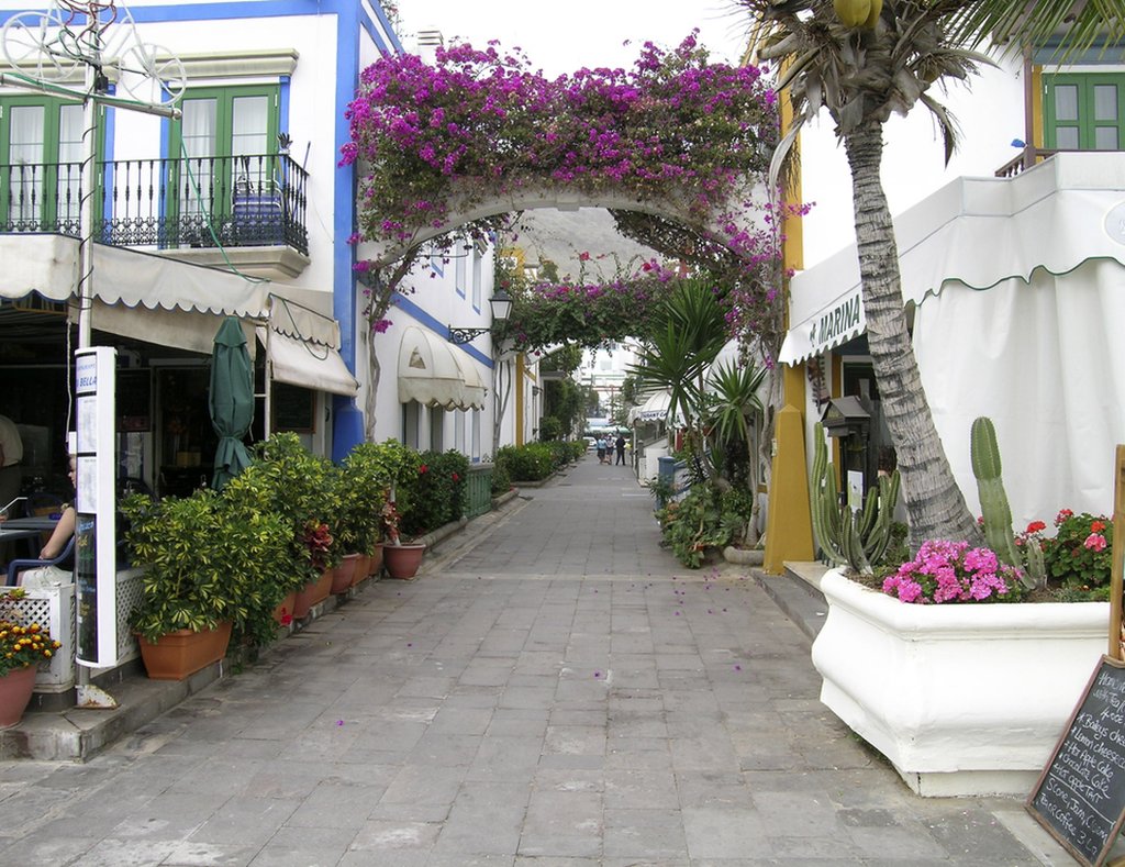 加那利群島作為旅遊勝地要歸功於19世紀的威爾士商人劉易斯·瓊斯。