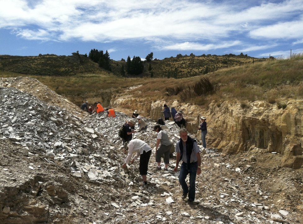 Scientists surveying Foulden Maar for fossils