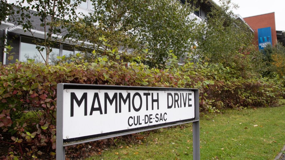 Дорожный знак с названием Mammoth Drive