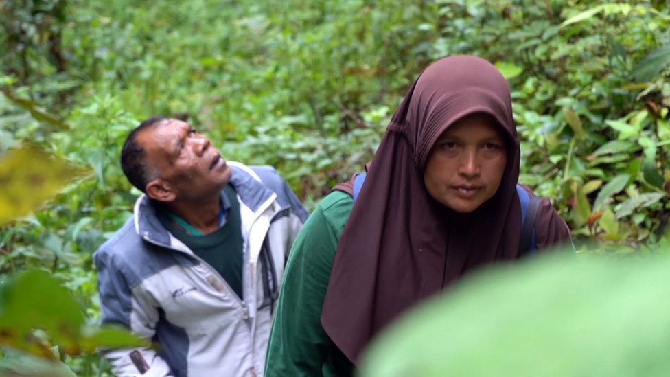 Perempuan, ibu rumah tangga, penjaga hutan, Aceh