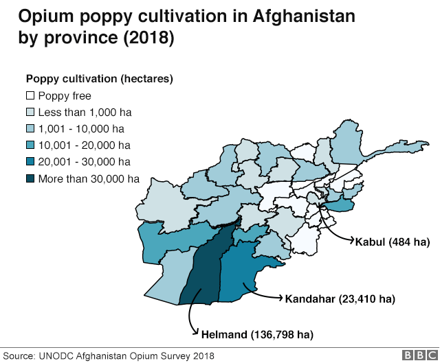 На карте показаны районы Афганистана, где выращивается больше всего опийного мака. Выделение провинции Гильменд, которая больше всего растет.