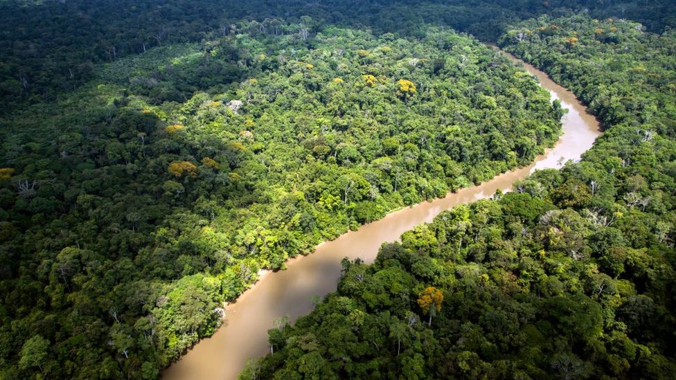 Brock se aventuró a sobrevolar el Amazonas para repartir ayuda. Imagen de la Guyana francesa