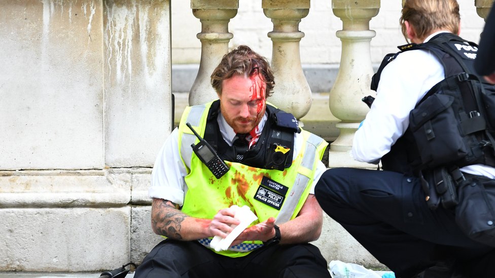 Seorang petugas polisi mengalami cedera di kepala setelah bentrok dengan pengunjuk rasa di Whitehall.