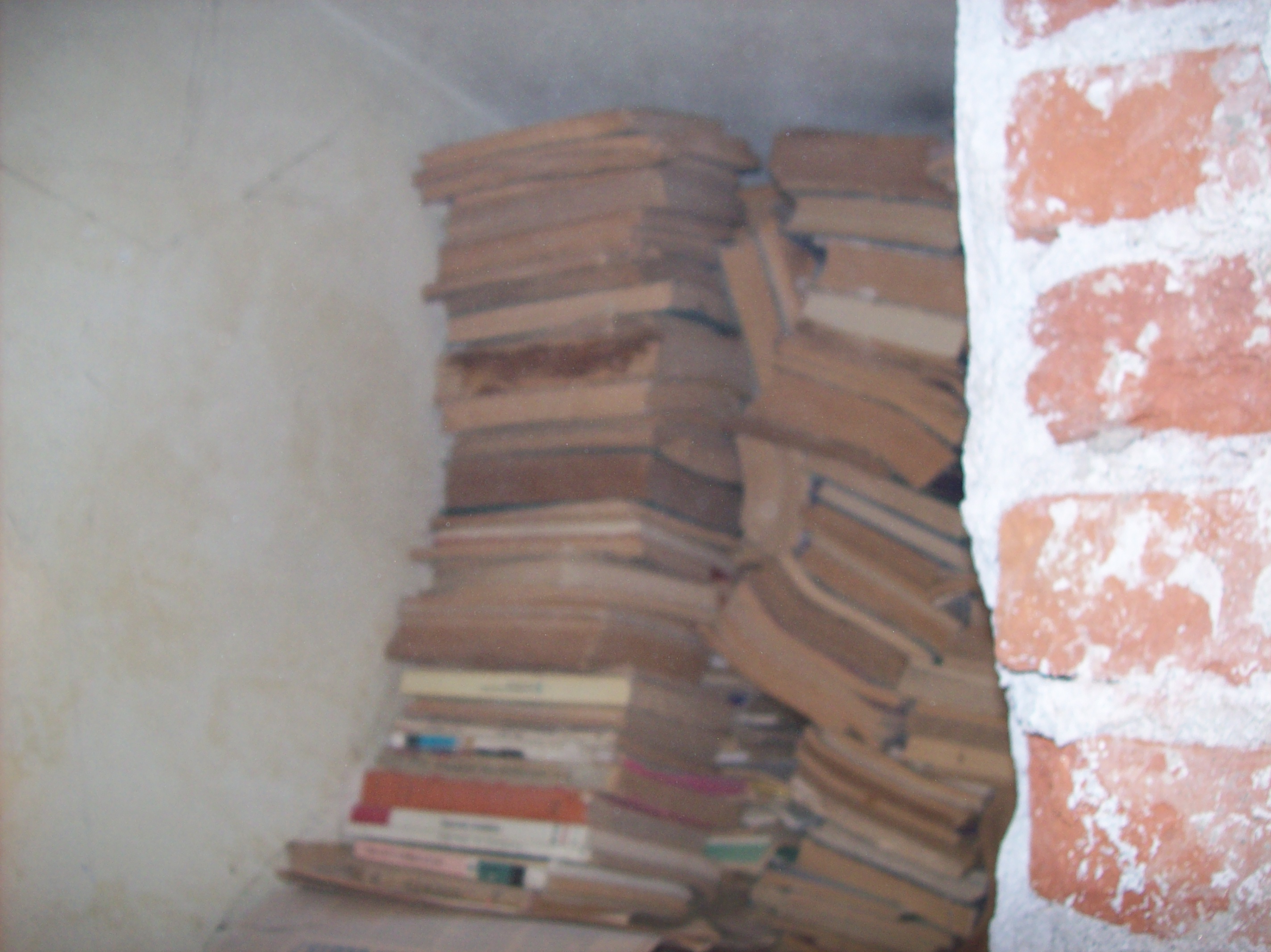 Libros dentro de un muro