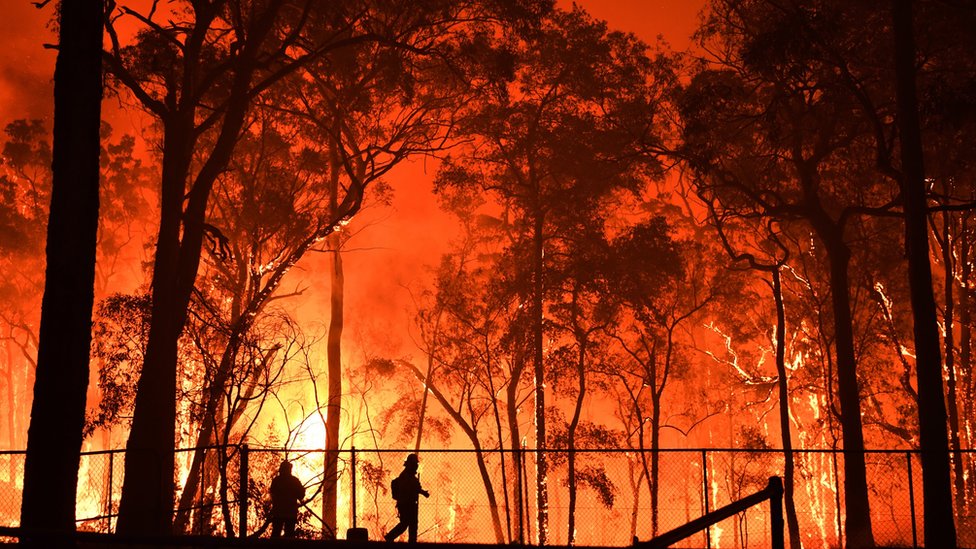 Крошечный силуэт пожарного на фоне стены пламени в национальном парке Воллеми к северо-западу от Сиднея 19 ноября 2019 г.
