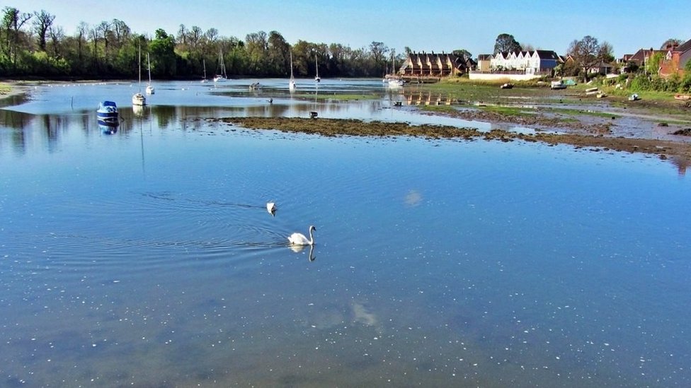 Fareham Creek