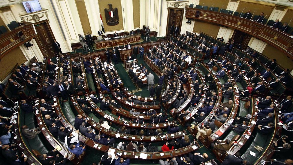 مشهد عام لمجلس النواب المصري