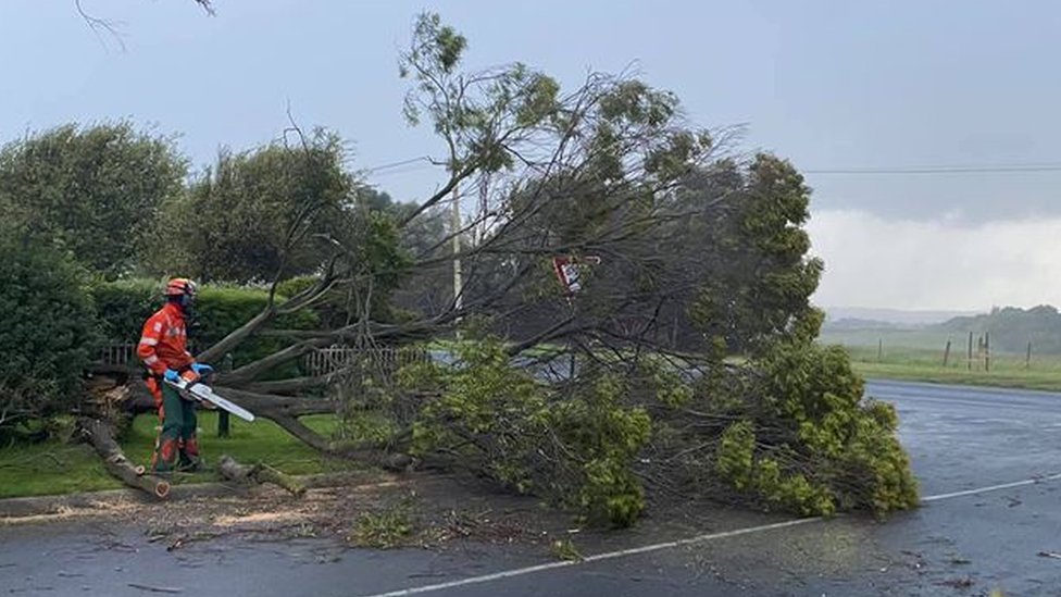 Melbourne storm: Three killed as winds cause widespread damage