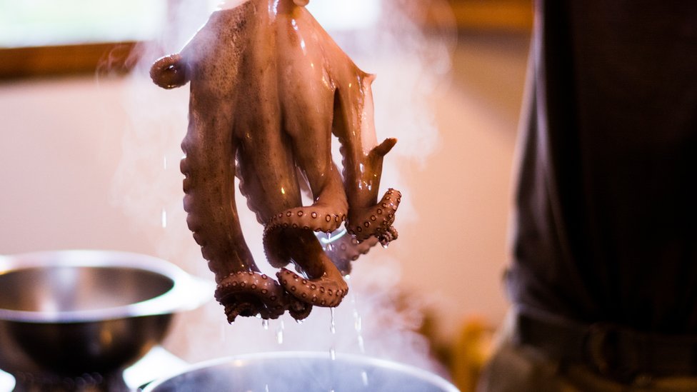 Hollanda yengeç, ahtapot ve ıstakozların canlı pişirilmesini yasaklamaya hazırlanıyor