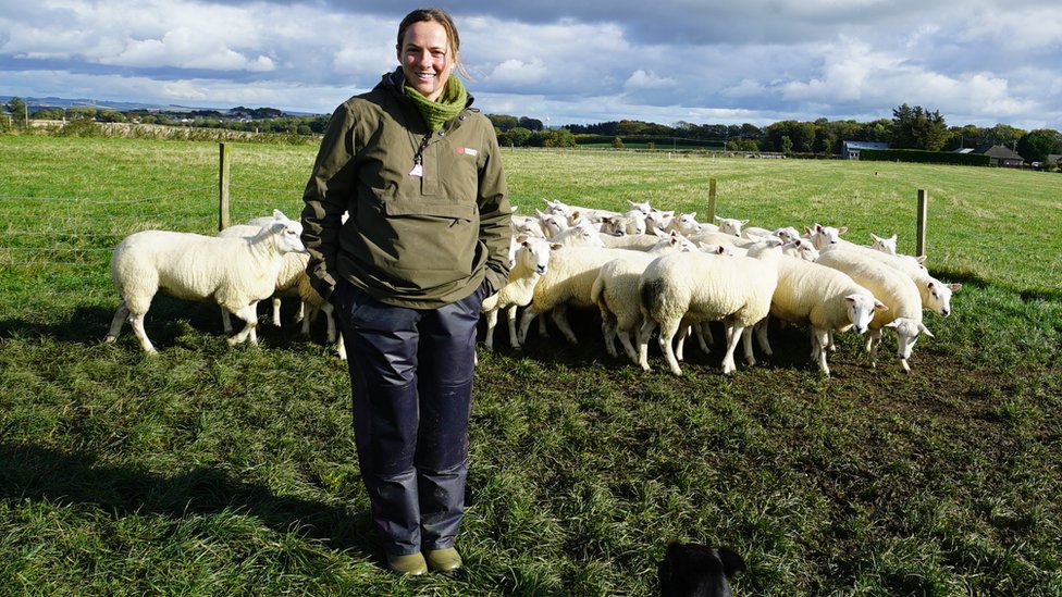 Мишель Стивен выращивает около 600 овец