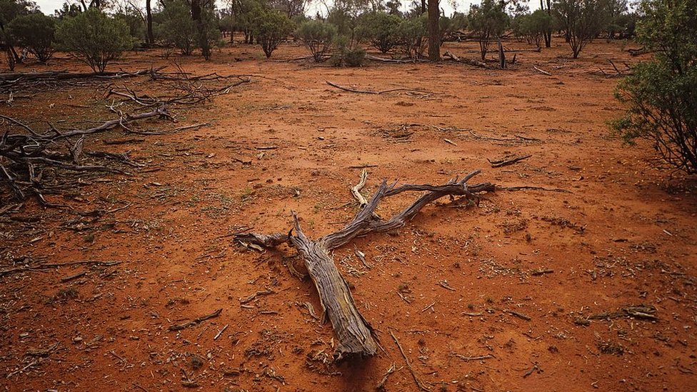 Ovako izgleda uništeno zemljište zbog prevelikog uzgoja stoke u Australiji