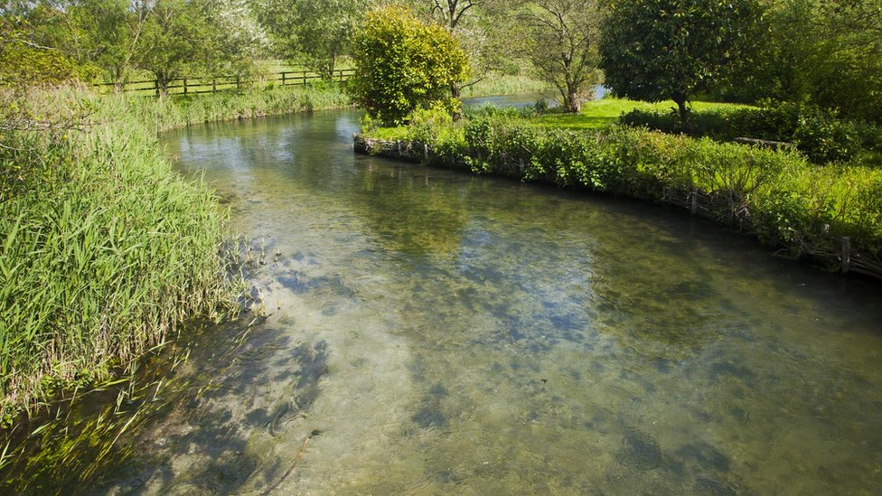 Чистая вода извилистого мелового ручья реки Кеннет в Аксфорде, Уилтшир, Англия