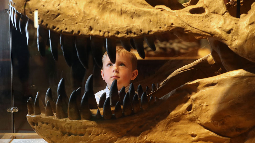 Ребенок на выставке динозавров
