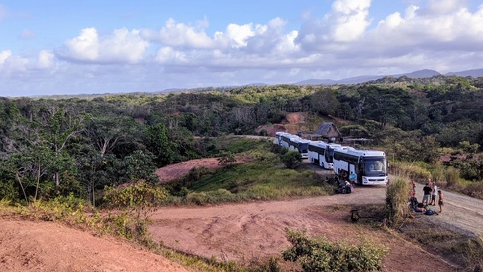 Автобусы, которые должны были отвезти посетителей фестиваля в Панама-Сити
