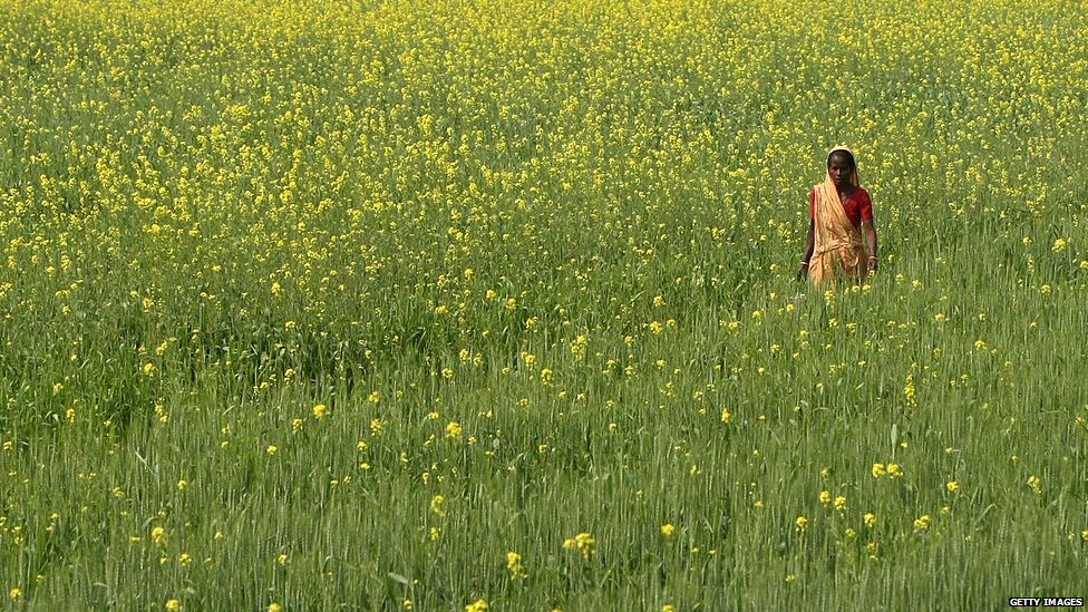 ਸਰ੍ਹੋਂ