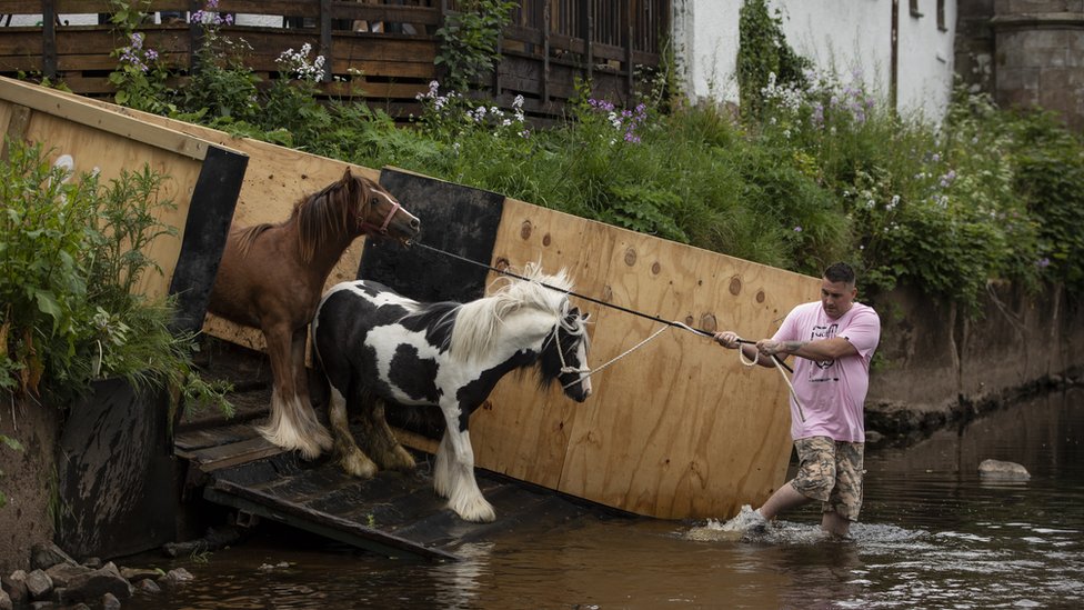 Лошадей тянут в реку Эдем для мытья во время ежегодной ярмарки лошадей Эпплби
