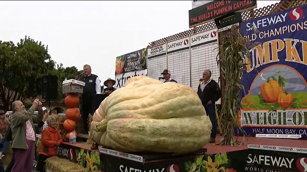 Oh my gourd! Giant pumpkin squashes US record