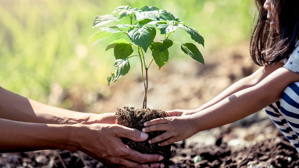 Mother and daughter planting on field