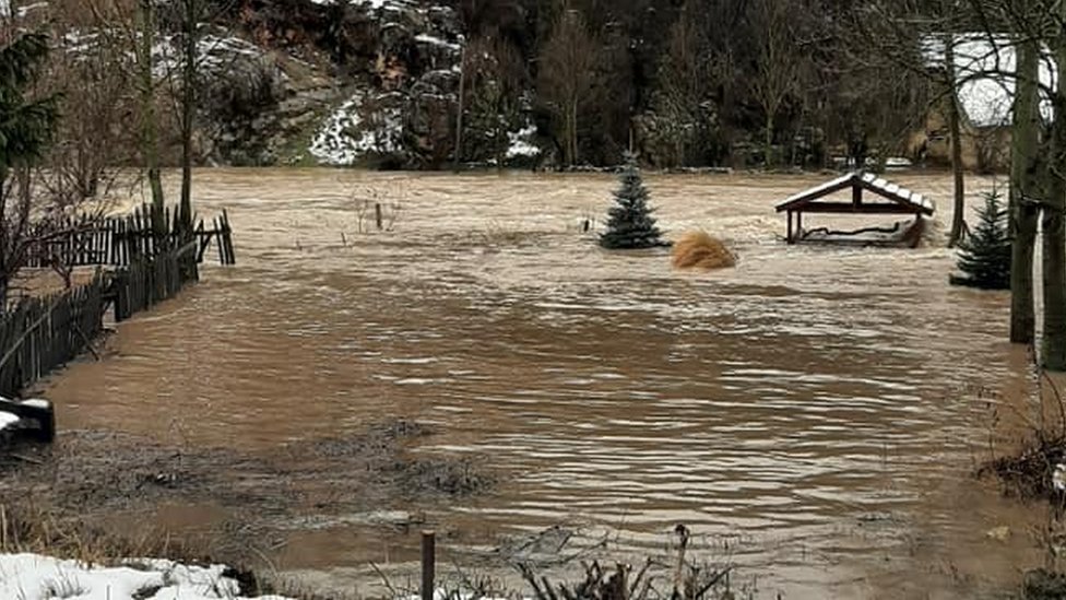 Poplave
