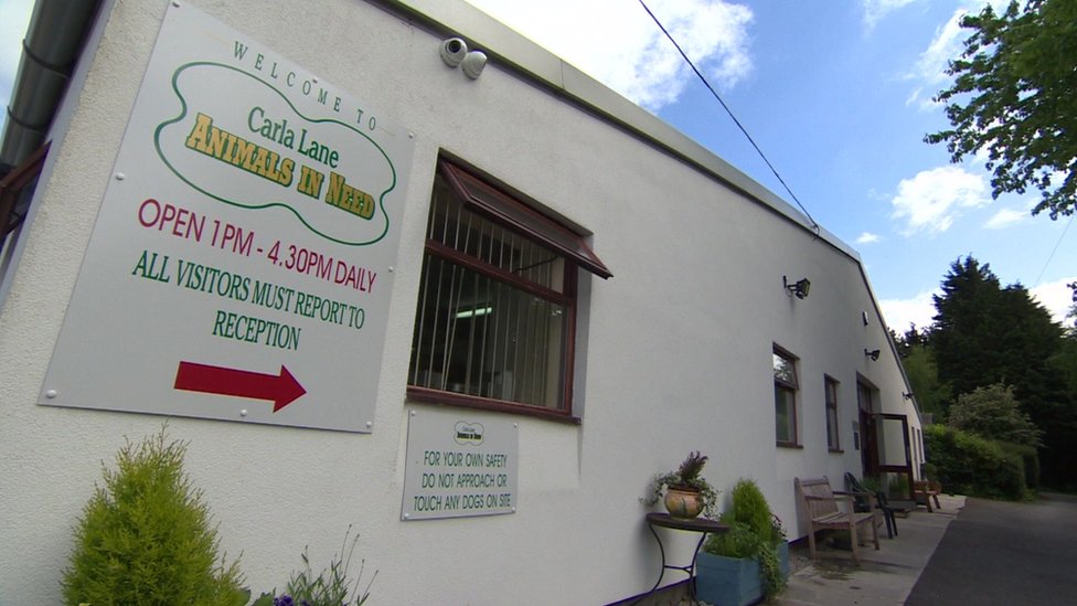 carla lane dog rescue centre