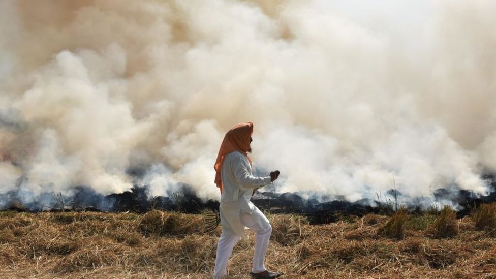 Фермер сжигает солому после сбора урожая риса на поле возле Джандиала Гуру, 17 октября 2020 года в Амритсаре, Индия