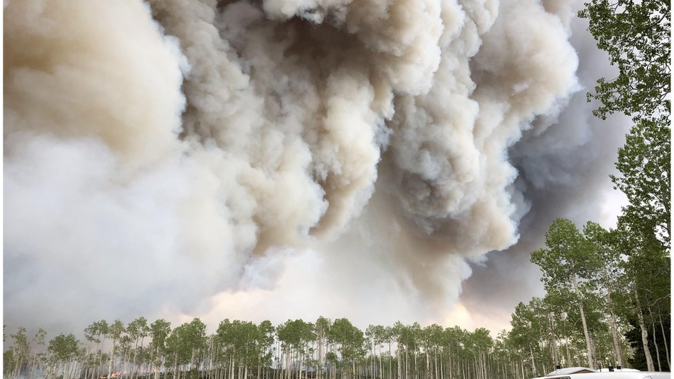 Fumaça de um incêncio florestal