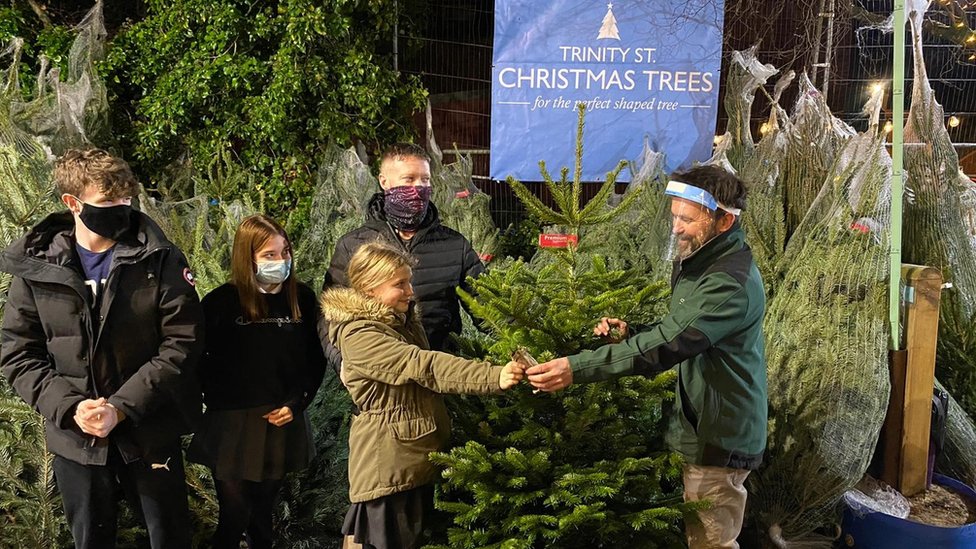 Alpine Christmas Tree Farm officially opens on Black Friday