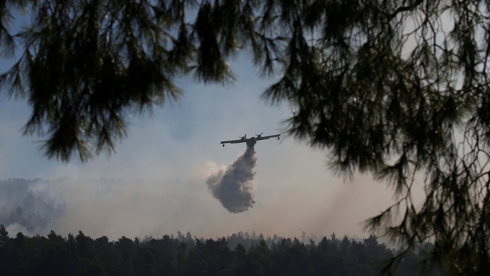 Avion nadleće požar, ispuštajući vodu