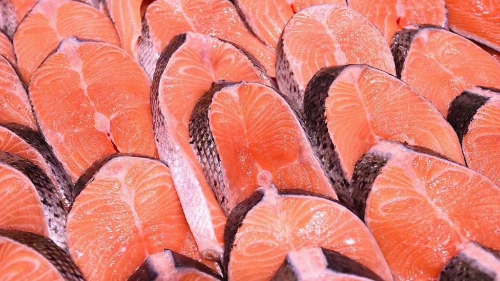 Filés de salmão
