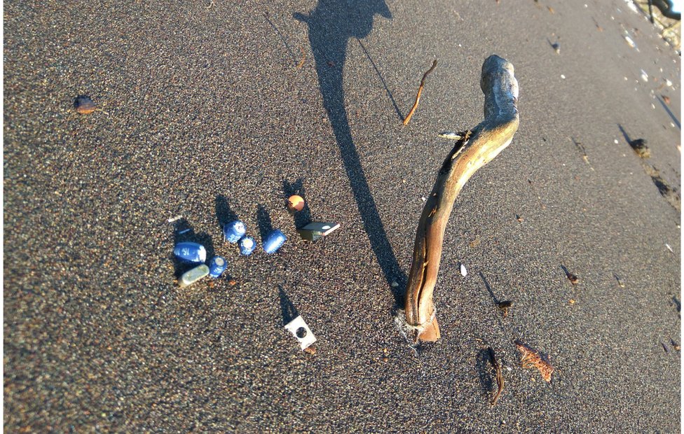 Contaminación de una playa en Chile