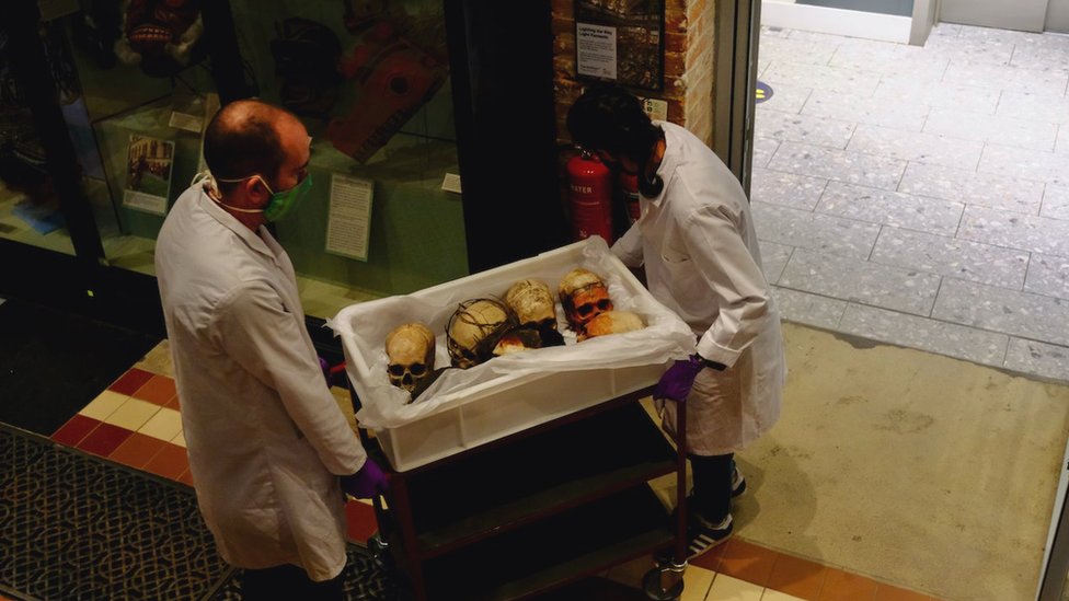 Skulls being taken to storage