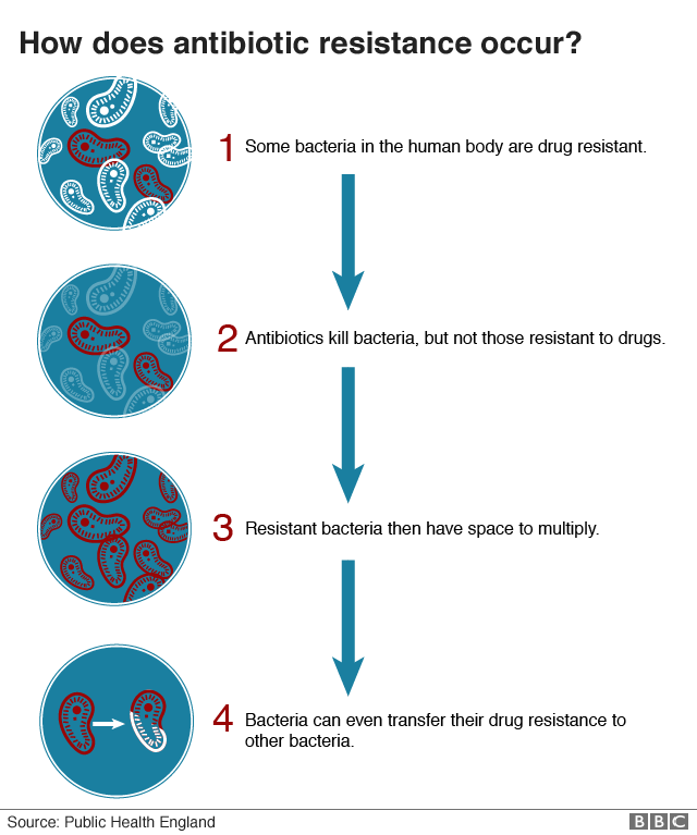 Диаграмма, показывающая, как устойчивость к антибиотикам растет