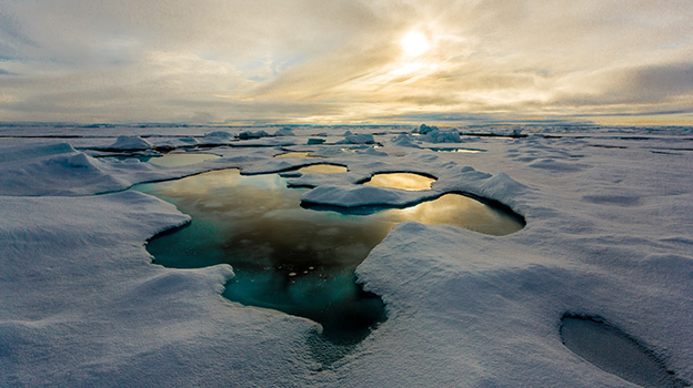 Арктический лед