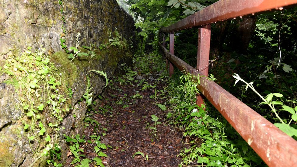 Tubuh Chong yang tanpa kepala ditemukan di kawasan hutan di Devon, Inggris.