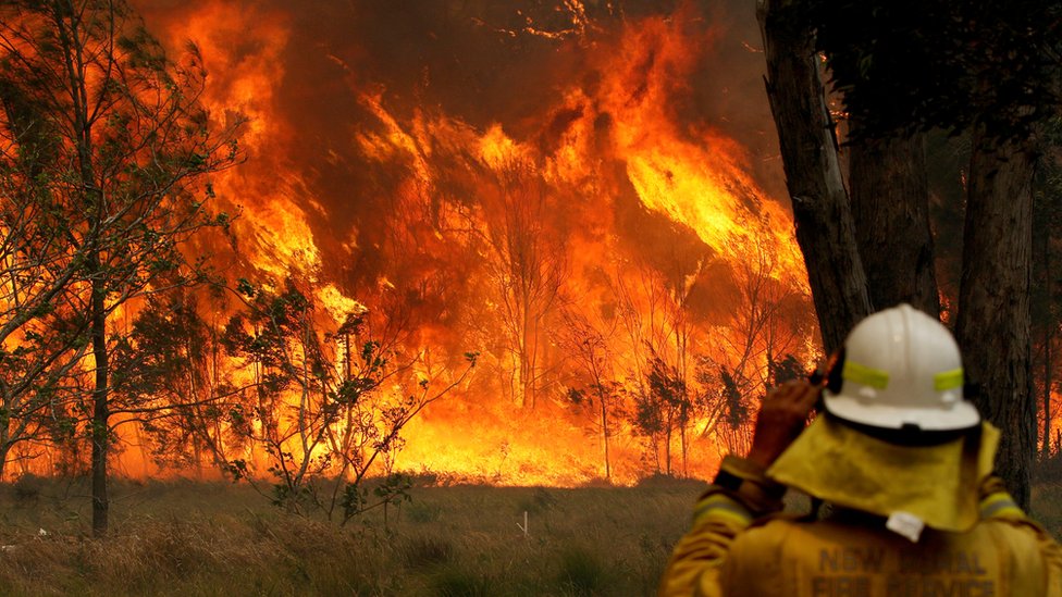 Пожарный Нового Южного Уэльса смотрит на бушующее пламя в Старом баре