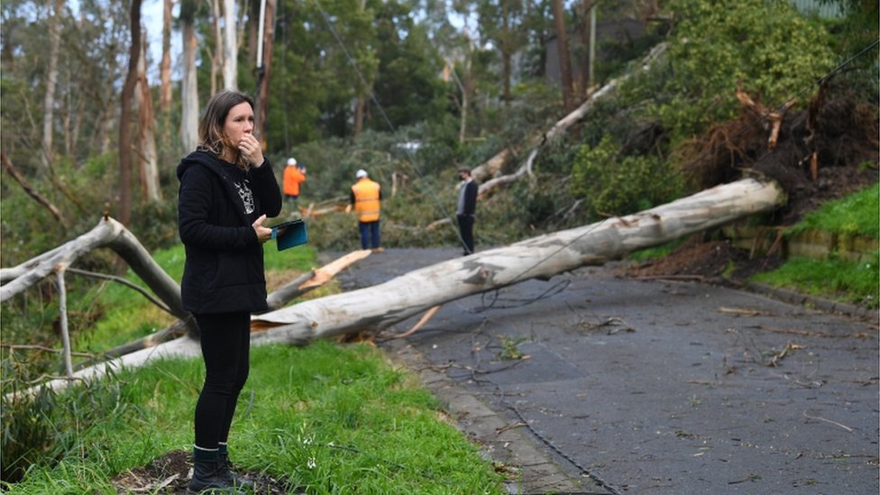 Местные жители оценивают ущерб вдоль улицы Каола в Белгрейв, Мельбурн, Виктория, Австралия, 28 августа 2020 года