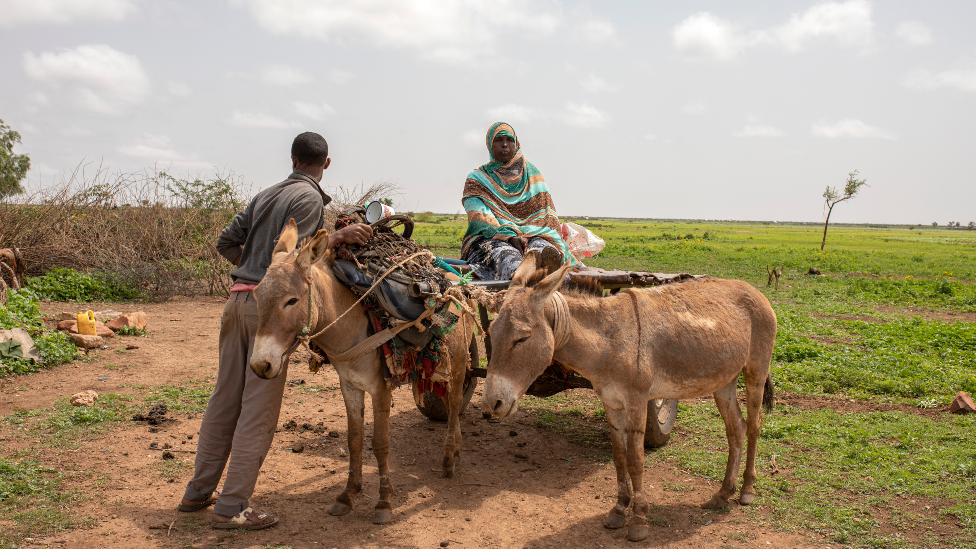 Agricultores con burros en el sitio del antiguo campamento de refugiados en Hartisheik, Etiopía