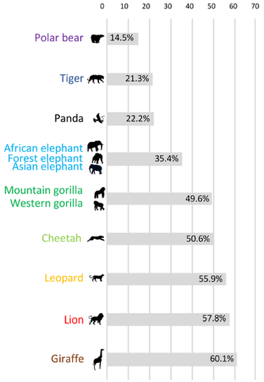 Диаграмма, показывающая, что 60 процентов людей не знали, что жирафы были уязвимым видом