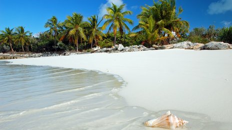 Christmas-in-the-Bahamas job ad overwhelms app