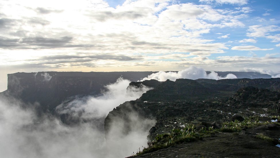 Los tepuyes son las formaciones expuestas más antiguas en el planeta; su origen data del Precámbrico, la primera y más larga etapa de la historia de la Tierra. Tepui