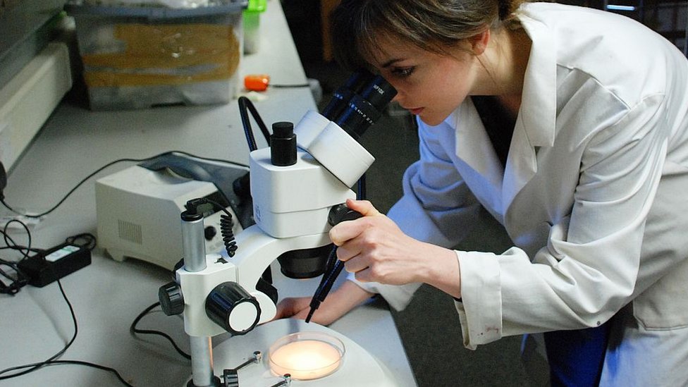 Científica de la Universidad de Durham observando una muestra en el microscopio