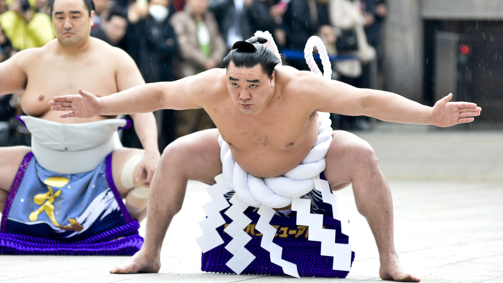 Схватки двух якодзун. Харумафудзи Кохэй. Сумо спорт в Японии. Бойцы сумо Япония женщины.