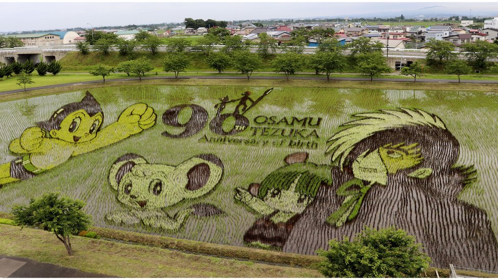 Rice field Painting by Usha Rai - Pixels