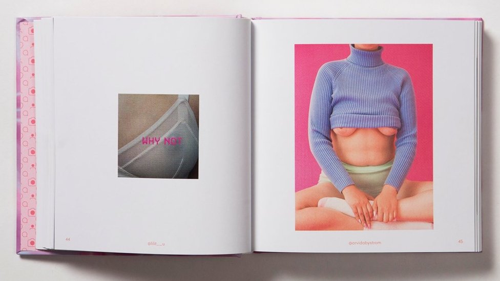 La polémica censura del pezón en Instagram y otras plataformas digitales impidió que ciertas fotos vieran la luz y algunas de ellas forman parte del libro. "Pics or it didnt happen"