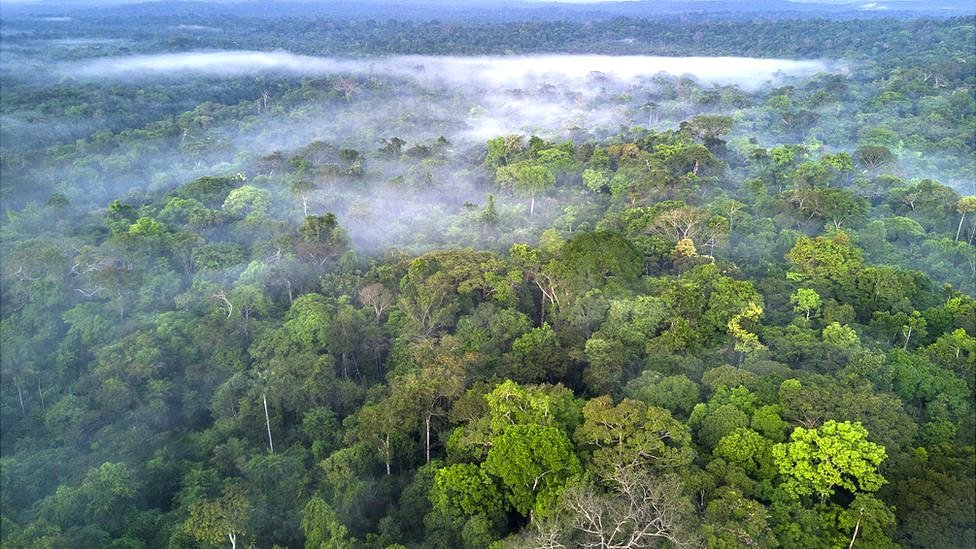 La selva amazónica.