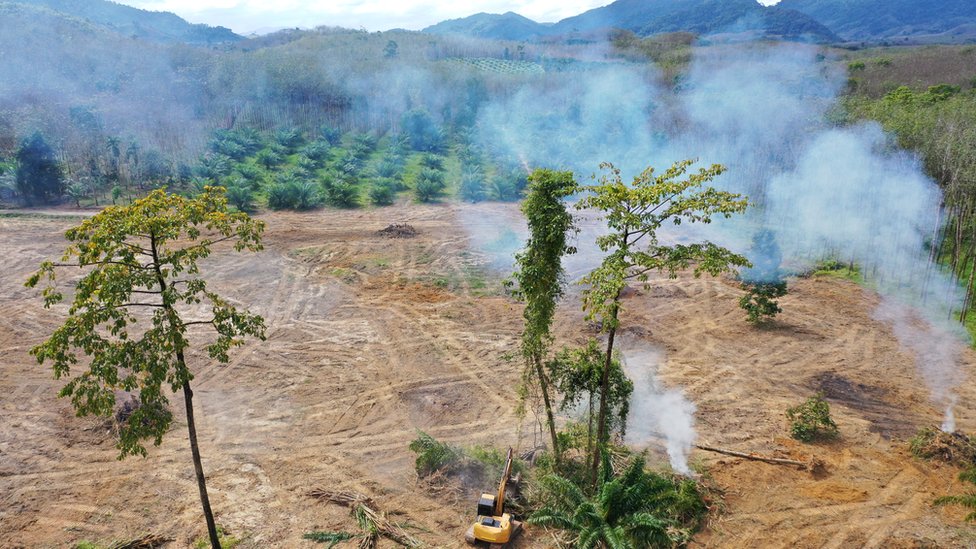 Uma área descampada em Sumatra, Indonésia, com fumaça subindo e floresta tropical ao redor do local