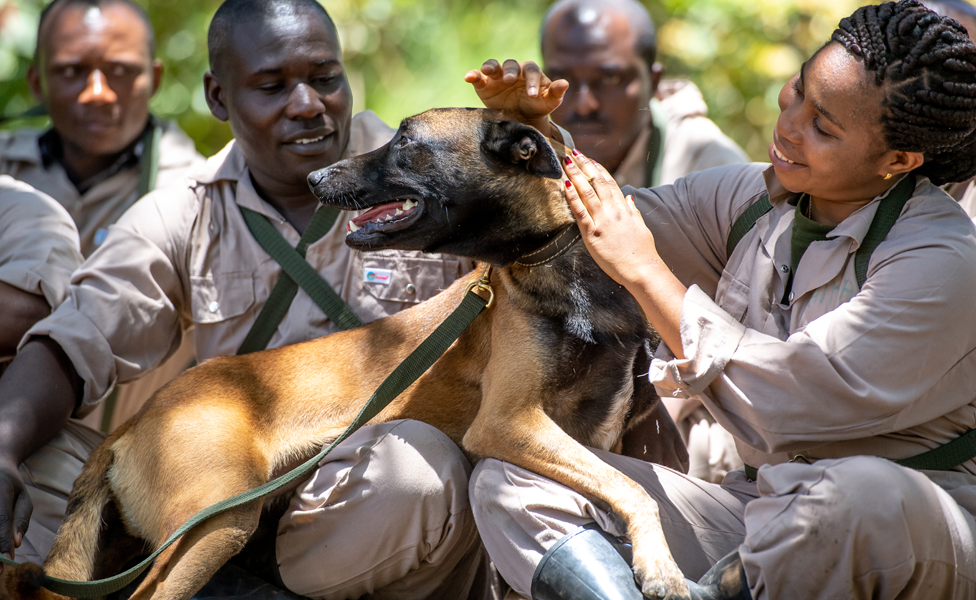 Группа кинологов-стажеров сидят на земле и гладят собаку по поводку в Аруше, Танзания