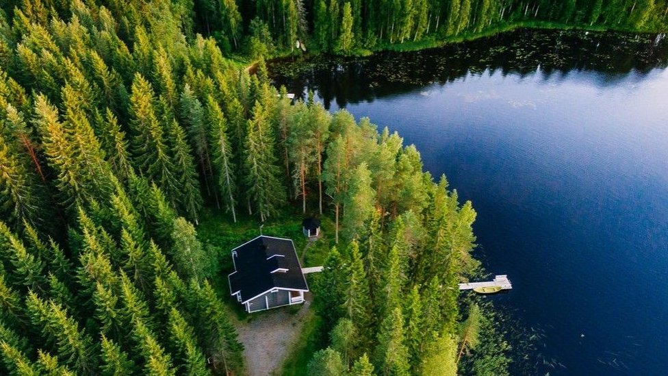 Un bosque y un lago en Finlandia