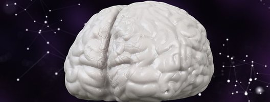 Модель мозга, парящего в космосе